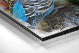 Brushed Aluminium Dibond Wall Art