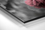 Brushed Aluminium Dibond Wall Art