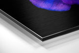 Brushed Aluminium Dibond Wall Art