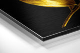 Brushed Aluminium Dibond Wall Art