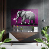 Elephant Brushed Aluminium Dibond Wall Art