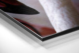 Brushed Aluminium Dibond Wall Art