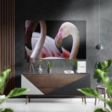 Flamingos Brushed Aluminium Dibond Wall Art