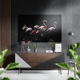 Flamingos Brushed Aluminium Dibond Wall Art