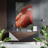 Flamingo Brushed Aluminium Dibond Wall Art