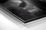 Brushed Aluminium Dibond Wall Art