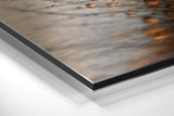 Brushed Aluminium Dibond Wall Art