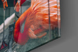 Flamingos Glass Wall Art