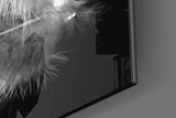 Feather Glass Wall Art