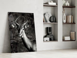 Deer Glass Wall Art