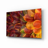 Feuilles d'orange Impression sur verre