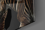 Zebra Glass Wall Art