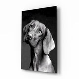 Innocent Dog Glass Wall Art