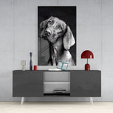 Innocent Dog Glass Wall Art