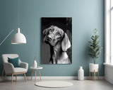 Innocent Dog Glass Wall Art