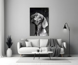 Innocent Dog Glass Wall Art