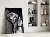 Innocent Dog Glass Wall Art