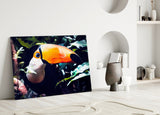 Toco Toucan Glass Wall Art