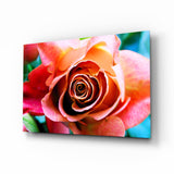 Rose Glass Wall Art