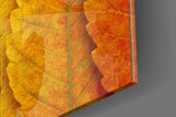 Autumn Leaves Glass Wall Art