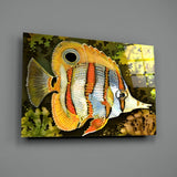 Orange Fish Glass Wall Art