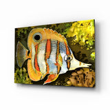 Orange Fish Glass Wall Art