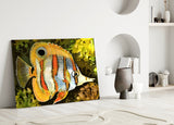 Orange Fish Glass Wall Art