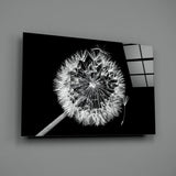 Dandelion Glass Wall Art