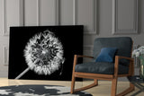 Dandelion Glass Wall Art