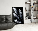 Feather Glass Wall Art