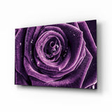 Purple Rose Glass Wall Art