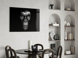 Gorilla Glass Wall Art