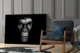 Gorilla Glass Wall Art