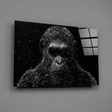 Gorilla Glass Wall Art