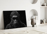 Gorilla Glass Wall Art