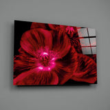 Malvales Flower Glass Wall Art