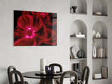 Malvales Flower Glass Wall Art