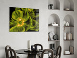 Malvales Flower Glass Wall Art