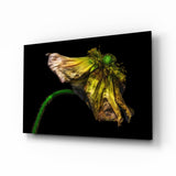 Flower Glass Wall Art