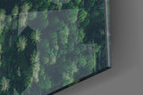 Forest Glass Wall Art