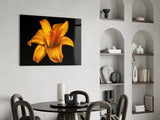 Lily Glass Wall Art