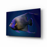 Queen Angelfish Glass Art