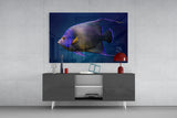 Queen Angelfish Glass Art