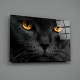 Cat Glass Wall Art