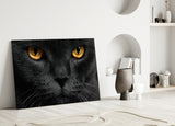 Cat Glass Wall Art