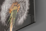 Dandelions Glass Wall Art