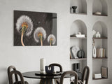 Dandelions Glass Wall Art