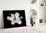 Lilies Glass Wall Art