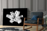 Lilies Glass Wall Art