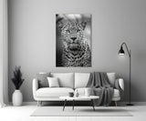 Leopard Glass Wall Art